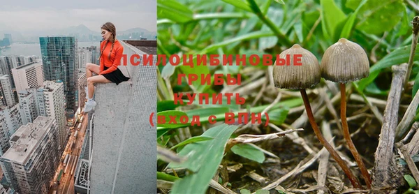 марки nbome Гусев